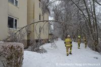 _2017-02-01 Sturmschaden Raiffeisenstrasse 4_01